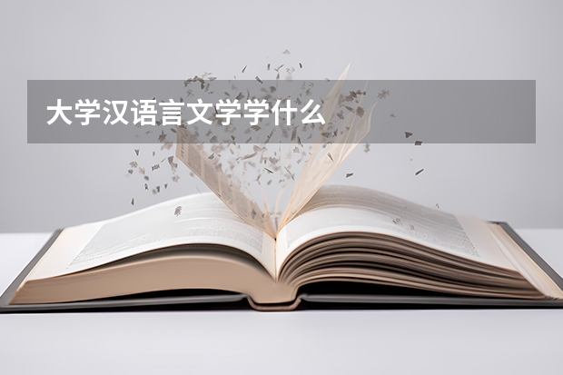 大学汉语言文学学什么