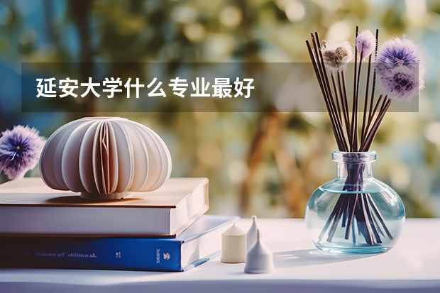 延安大学什么专业最好