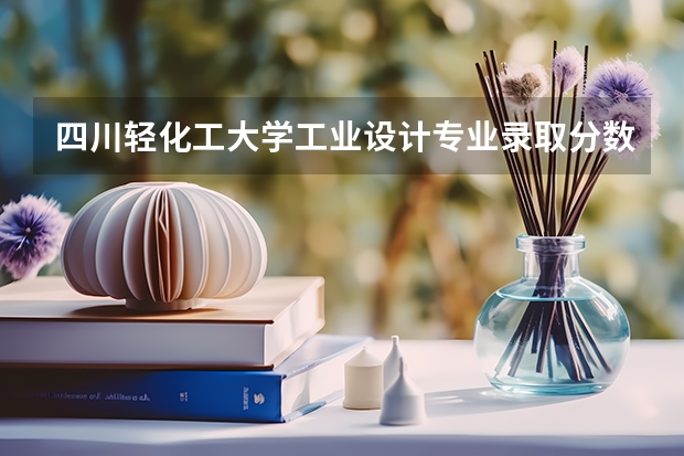 四川轻化工大学工业设计专业录取分数线多少分,排名怎么样