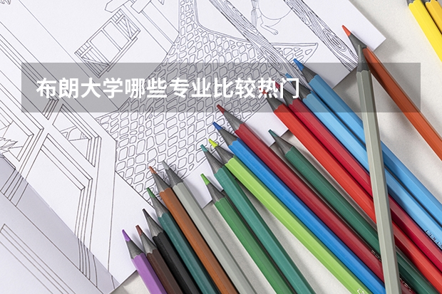 布朗大学哪些专业比较热门