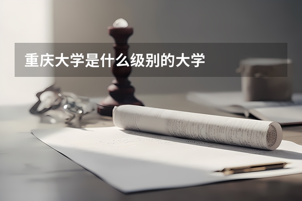 重庆大学是什么级别的大学