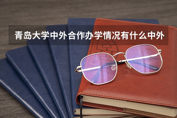 青岛大学中外合作办学情况有什么中外合作办学专业？