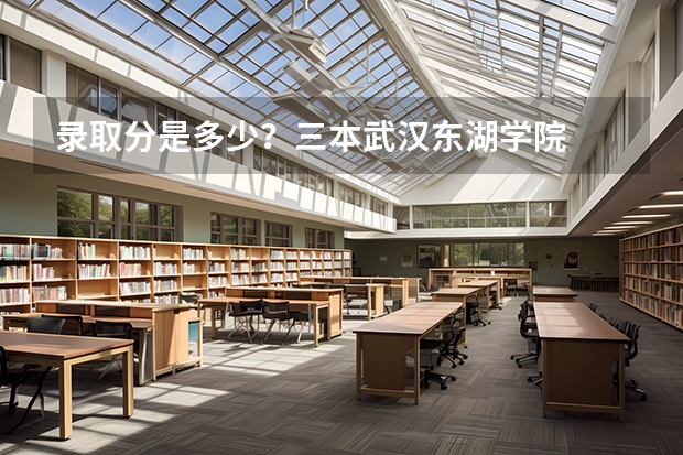 录取分是多少？三本武汉东湖学院