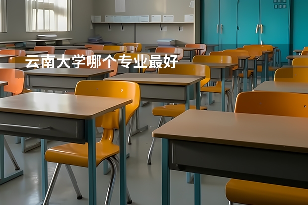 云南大学哪个专业最好