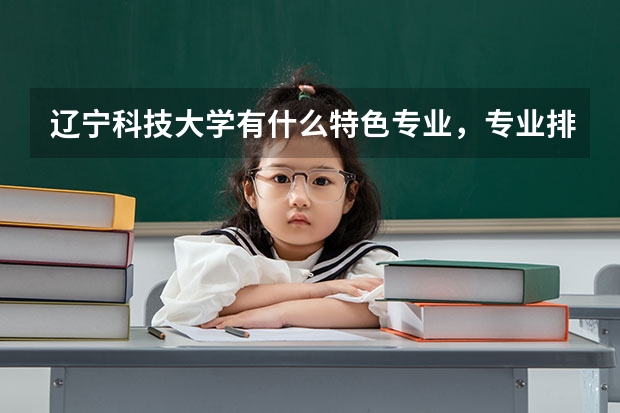 辽宁科技大学有什么特色专业,专业排名如何