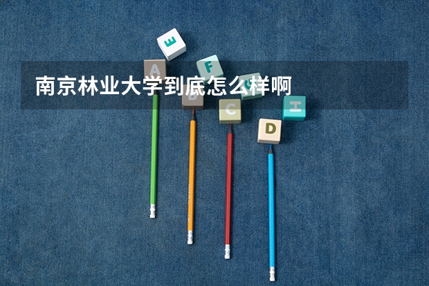 南京林业大学到底怎么样啊