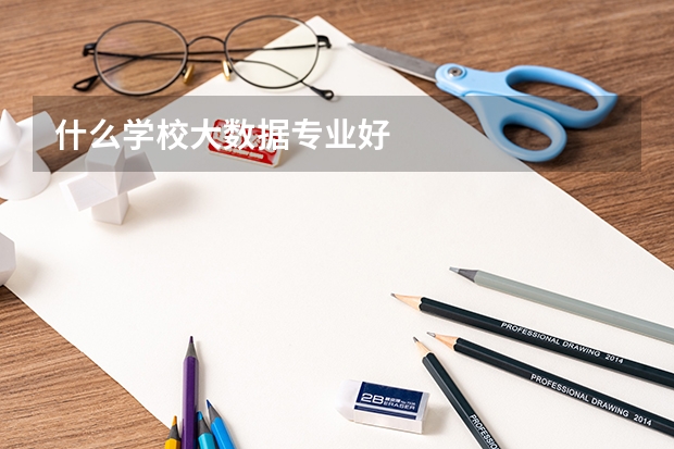什么学校大数据专业好