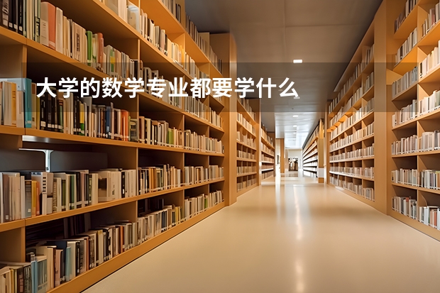大学的数学专业都要学什么