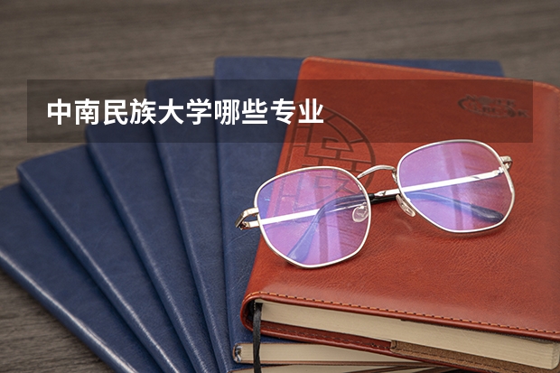 中南民族大学哪些专业