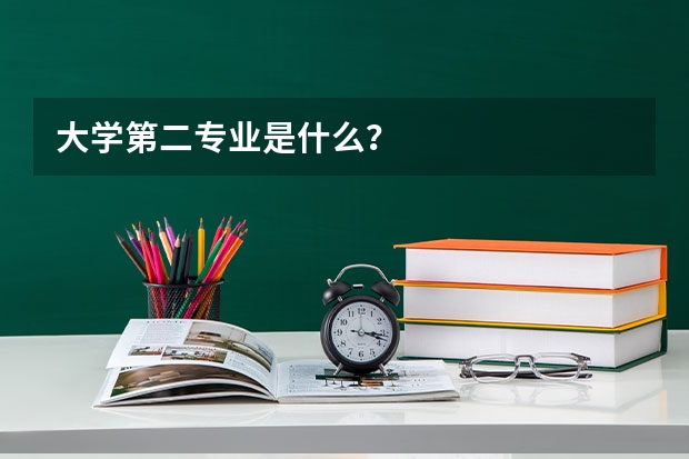 大学第二专业是什么？