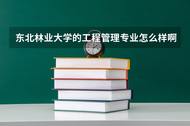 东北林业大学的工程管理专业怎么样啊？谁能帮帮我，谢。