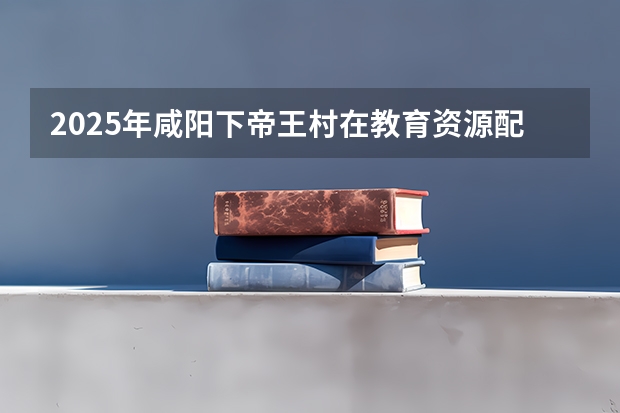 2025年咸阳下帝王村在教育资源配置上会有怎样的发展？（2025年咸阳下帝王村在产业布局上会有怎样的调整趋势？）