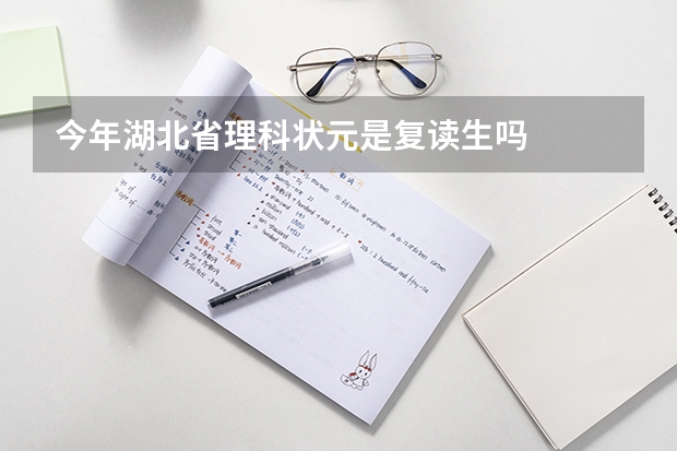 今年湖北省理科状元是复读生吗