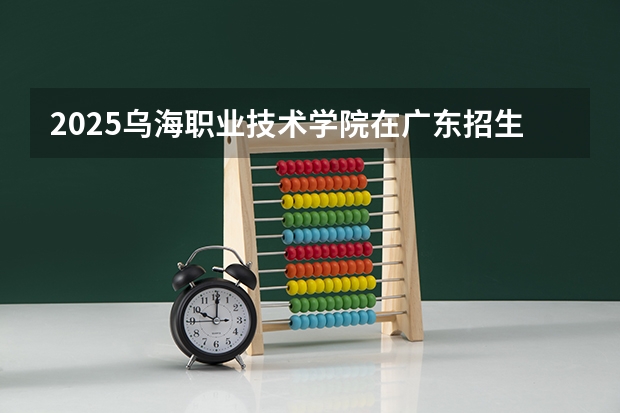 2025乌海职业技术学院在广东招生计划与2024年招生计划对比