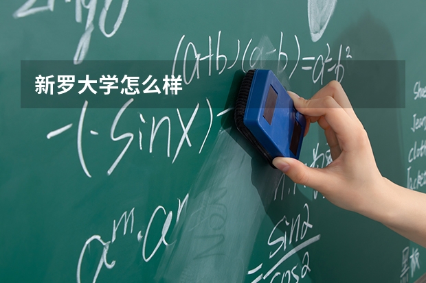 新罗大学怎么样