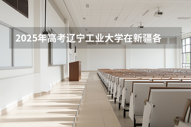2025年高考辽宁工业大学在新疆各批次选科要求