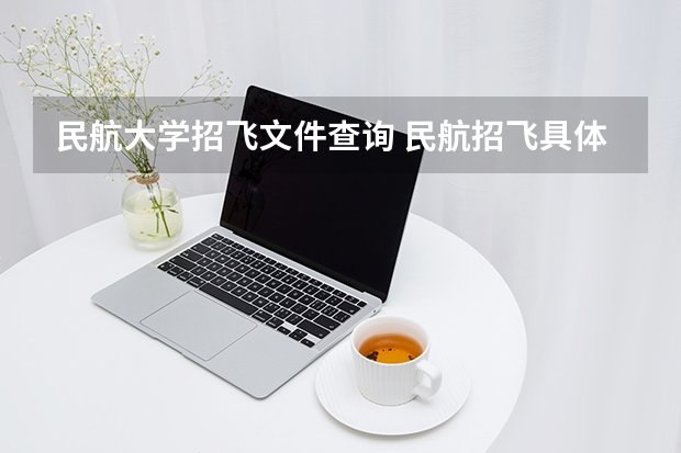 民航大学招飞文件查询 民航招飞具体流程是怎样啊？进入政审是不是以后难度就不大啦？朋友是应届大学本科生。请了解的高人指点啊