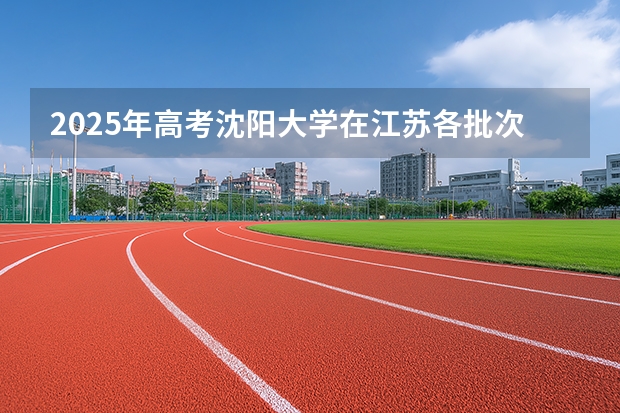 2025年高考沈阳大学在江苏各批次选科要求