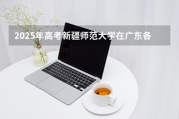 2025年高考新疆师范大学在广东各批次选科要求