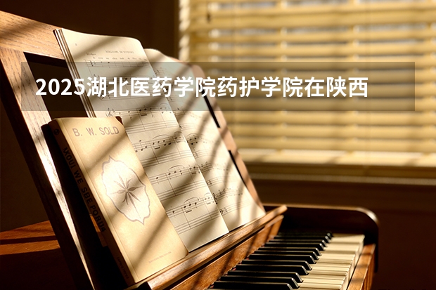 2025湖北医药学院药护学院在陕西招生专业有哪些 ？（2026参考）