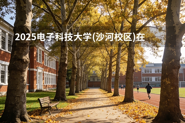 2025电子科技大学(沙河校区)在吉林招生专业有哪些 ？（2026参考）