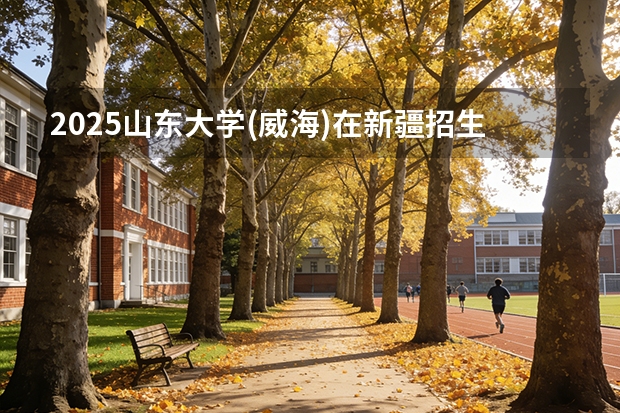 2025山东大学(威海)在新疆招生专业有哪些 ？（2026参考）