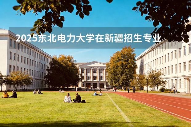 2025东北电力大学在新疆招生专业有哪些 ？（2026参考）