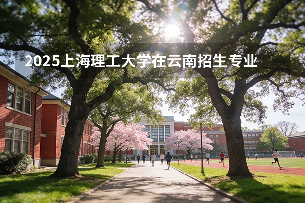 2025上海理工大学在云南招生专业有哪些 ？（2026参考）