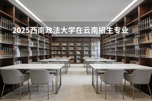 2025西南政法大学在云南招生专业有哪些 ？（2026参考）